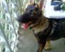 Ruger growing up pictures