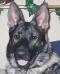 Ruger growing up pictures