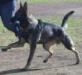 Ruger growing up pictures