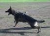 Ruger growing up pictures