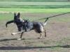 Ruger growing up pictures