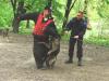 Ring training GSD