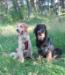 Olli with daughter Cara 2012