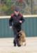 Focus Heeling