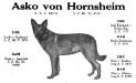 Asko von Hornsheim (Historical Kennel Ad)