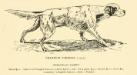 CH Foreman's portrait From the 1882 American Field Trials Record