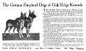 Oak Ridge Frigga von Magdebug, and her Brace mate Oak Ridge Alarich von Alpenleft in the Oak Ridge Kennel 1914 Ad.