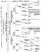 Graphic (1881) 4067 v3 10/81 13366 AKR2411 (Pedigree)