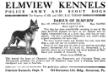 Darius of Elmview's Kennel Advertisement from a 1918 Vanity Fair Magazine