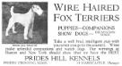 Prides Hill Tweak'Em (Kennel advertisement from a 1918 Vanity Fair Magazine)