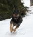 Fun in the snow