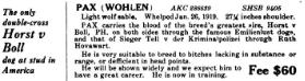 Pax Wohlen&#x27;s 1920 Bulletin Rexden-Belcarza Kennels Ad
