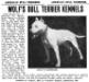 Wolf&#x27;s Barrage&#x27;s Kennel Ad from a December 1919 The Dog Fancier