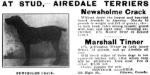 Newsholme Crack&#x27;s 1905 Ad in The Dog Fancier