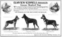 Apollo von Hühnenstein's 1916 Kennel ad from Vanity Fair