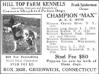 Max's Kennel ad