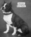 Lord Derby