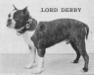 Lord Derby&#x27;s Stacked Picture