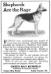 Ajax in the Green Bay Kennels ad