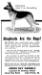 Ajax in the Green Bay Kennels ad for Field and Stream 1922