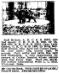 Buff Britain (065371)'s 1905 Kennel Ad