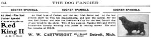 Red King II (095544)'s 1907 Kennel advertiosement