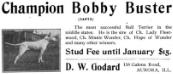 Bobby Buster (054872)&#x27;s 1907 Kennel Ad
