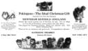 T'as Chi of Newnham