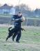 Gaucho in training, March 2016