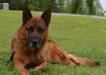 getting old but still impressively handsome