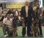Zamp @ "Crufts" 2008 in Birmingham, England