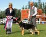 August 5, 2016 BIS at the Edmonton Kennel Club, judge - Mrs. Barbara Heal