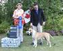 2016 August at WKKC Grp 1st Judge Denise Cornelssen (Canada)