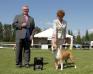 2016 August at ECK Grp 1st Judge Grant Townsend (Canada)