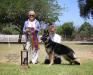 Best of Breed - Judge Nancy Harper