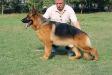 @@   2009 Picture @@@