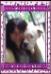 Owner Renee Hardee (Morrell) will return to Morrell after divorce is final. Renee is Tunnel Springs Bullies, and the sole owner&#x2F;breeder of all d