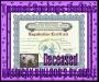 All Tunnel Springs Bullies puppies owned/bred by Renee Hardee (Morrell)