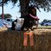 AKC Coursing Ability Test - 11th &amp; 12th pass ribbons