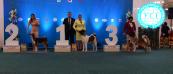Winner słowakia 2017 , 1 BOG , 3 BIS
