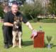 1st place Agility Dog - Working/Service Dog assoc