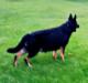 Meika while Pregnant