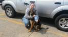 CGCA and CGCU while on duty as a trained Service dog