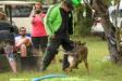 2018-06-02 South TX Syndicate Ringsport Club - MR Trial - Level 1 - Defense of handler w/USMRA decoys Allison Seghetti-Kehoe &amp; Connor Mckeev