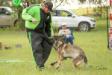 2018-06-02 South TX Syndicate Ringsport Club - MR Trial - Level 1 - Defense of handler w/USMRA decoys Allison Seghetti-Kehoe &amp; Connor Mckeev