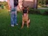 Bardo Ultra Star 7,5 months
