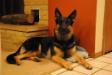 Eriel @ Home