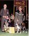 2000 Westminster Kennel Club Best of Opposite