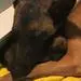 Giza loves her babies!
