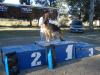 1ºpuesto